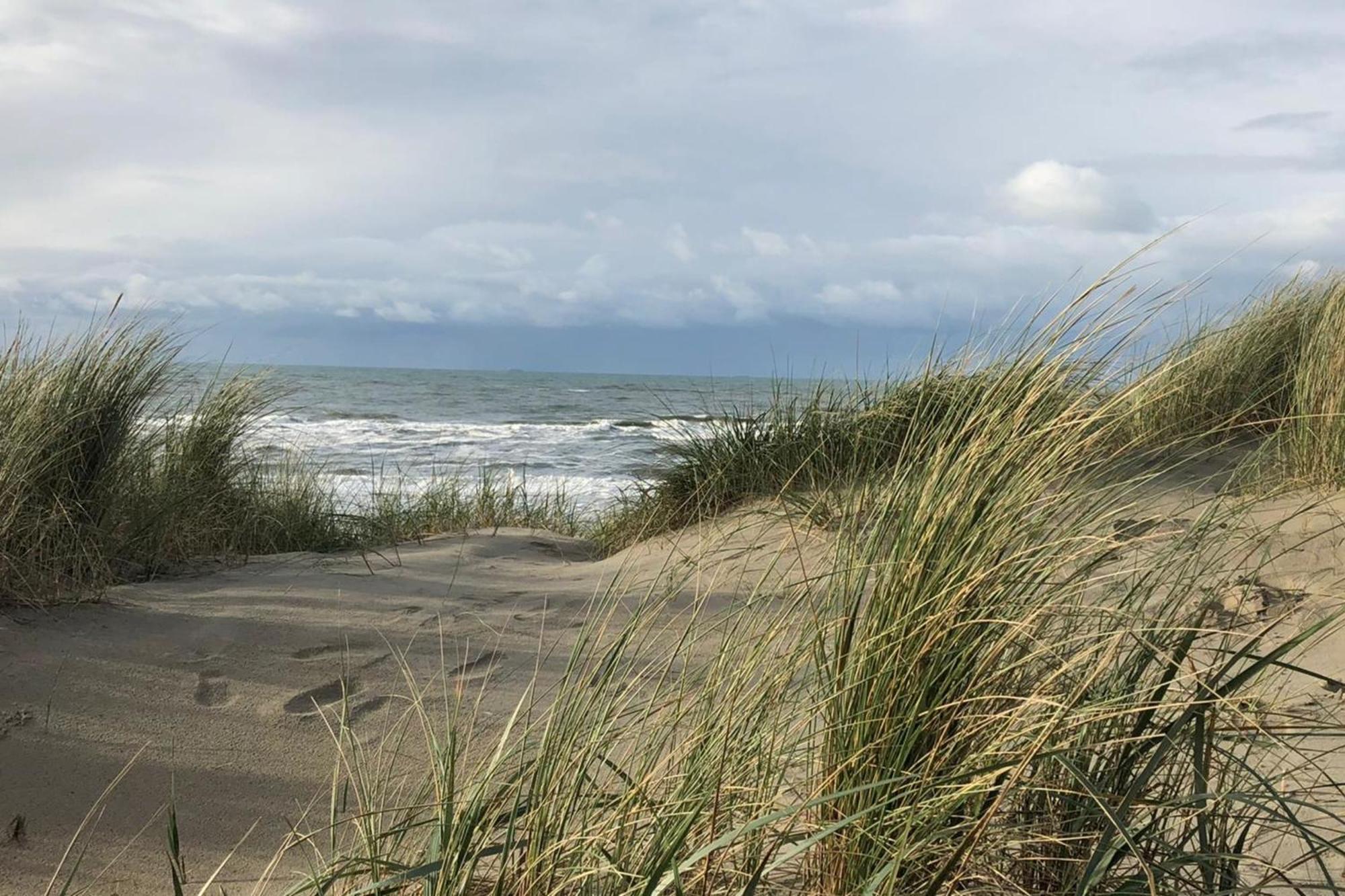 Shell 61 Apartman Zandvoort Kültér fotó